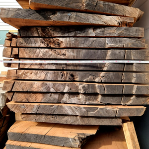 월넛 나무 통나무 원목 통원목 판재 반제품 목재