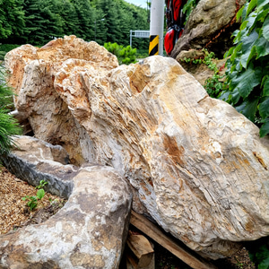 나무화석 1 정원 카페 놀이공원 야외 조경 용품 돌 장식품 소품 조형물 꾸미기