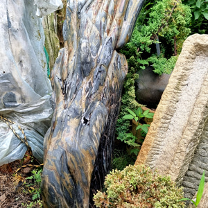 흑단 나무 화석 3 정원 카페 놀이 공원 야외 조경 용품 돌 장식품 소품 조형물 꾸미기